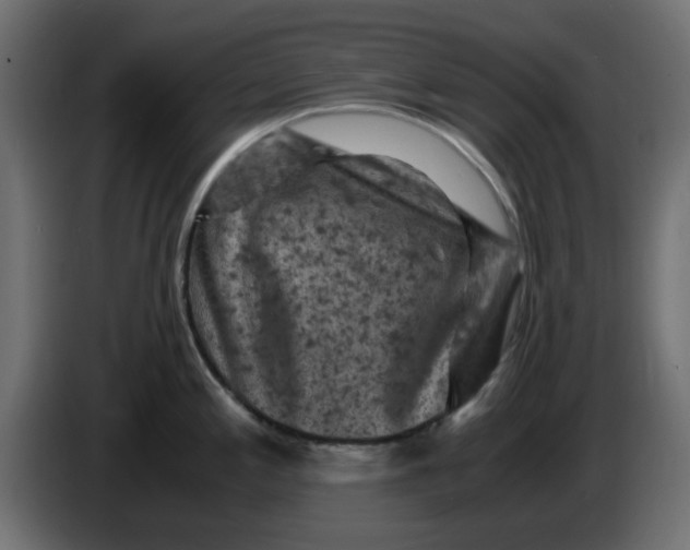 X0000083561197200703021710