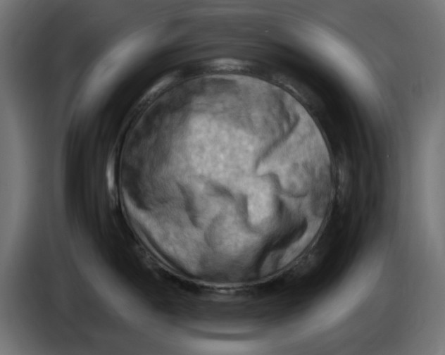 X0000083561198200703021710