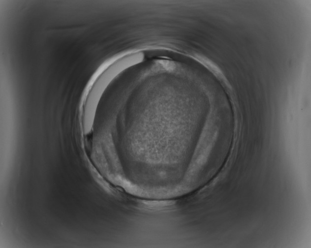 X0000083561200200703021710