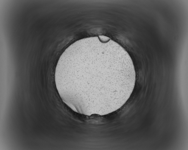 X0000083561201200703021709