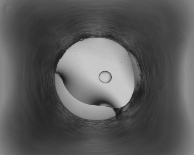 X0000083561202200703021709