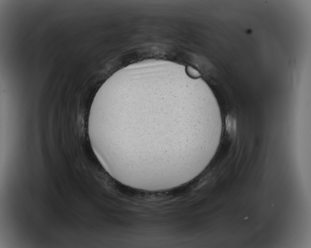 X0000083561203200703021709