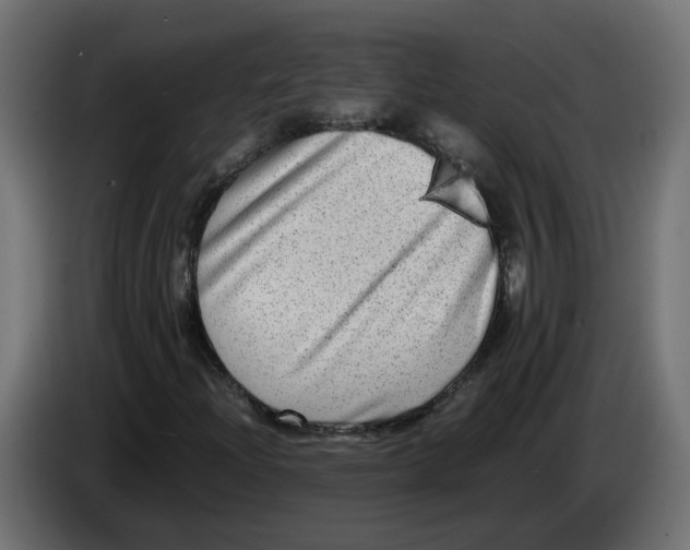 X0000083561204200703021709