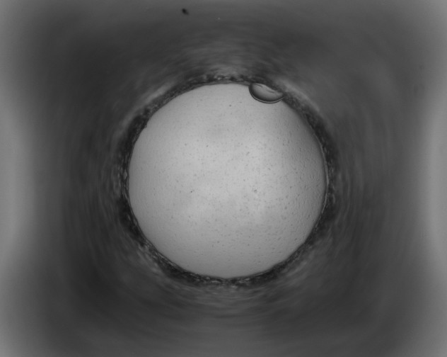 X0000083561207200703021709