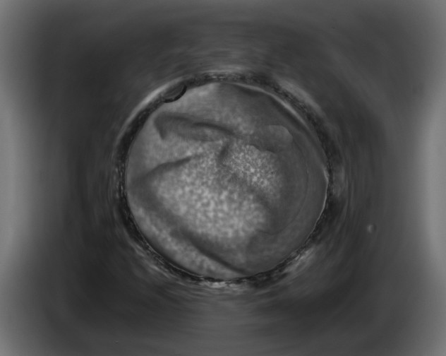 X0000083561208200703021709