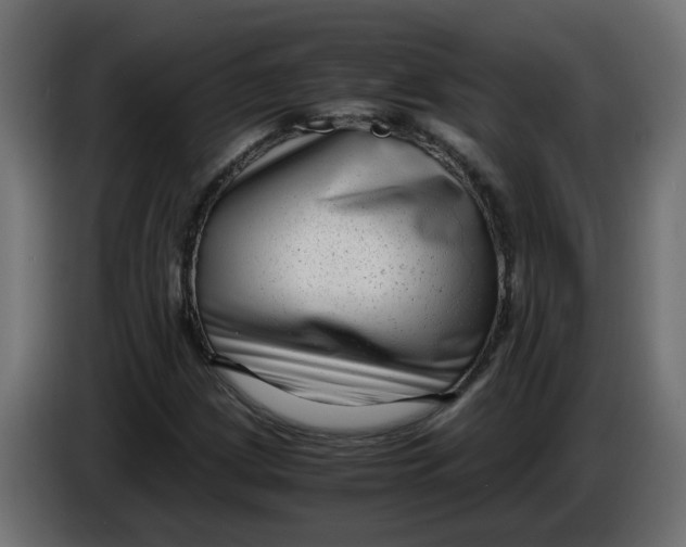 X0000083561209200703021709