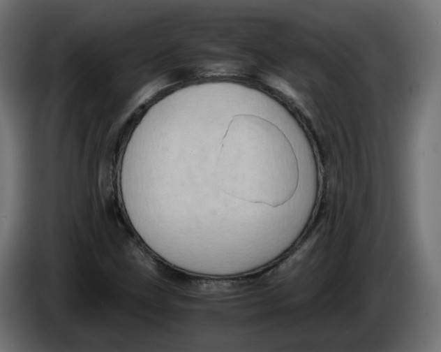 X0000083561211200703021709