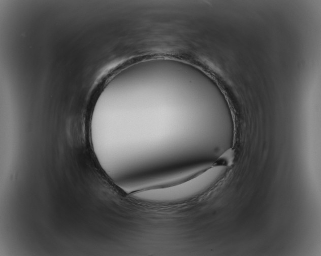 X0000083561214200703021709