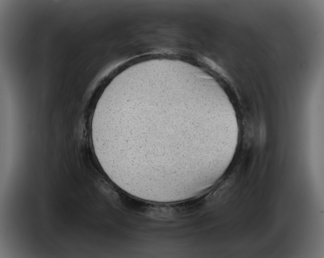 X0000083561215200703021709