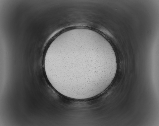 X0000083561216200703021709