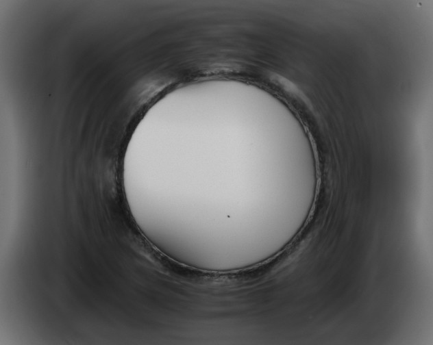 X0000083561217200703021709