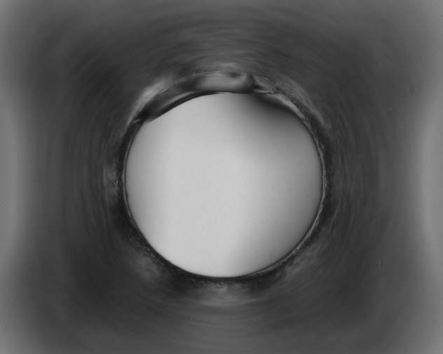 X0000083561218200703021709