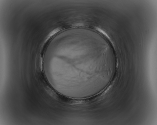 X0000083561219200703021709