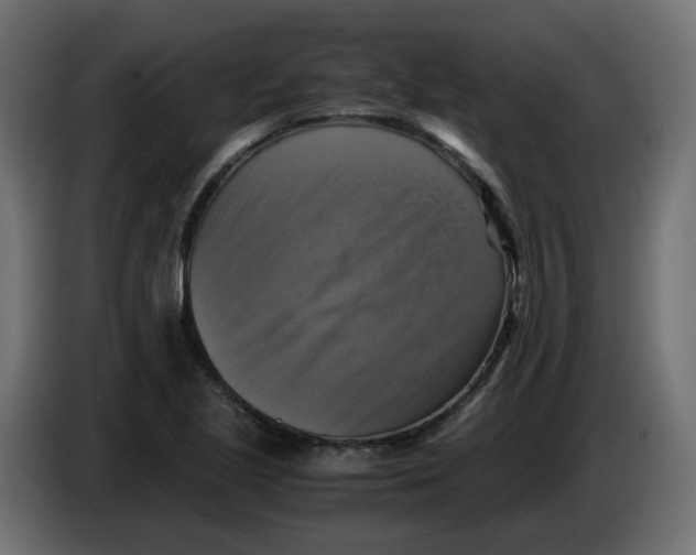 X0000083561221200703021709