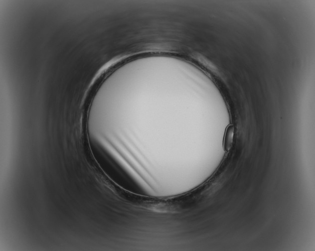 X0000083561222200703021709