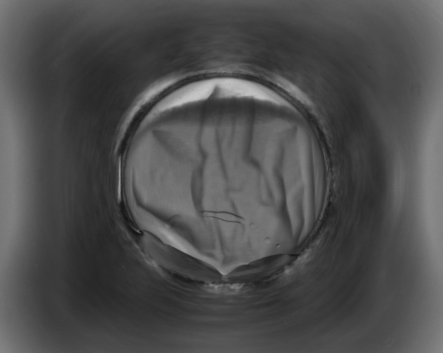 X0000083561223200703021709