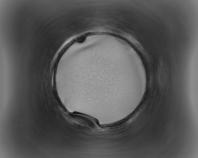 X0000083561224200703021709