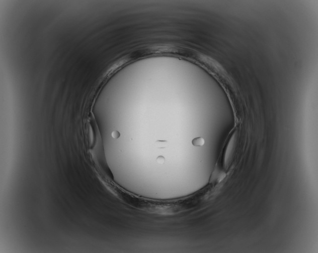 X0000083561225200703021709