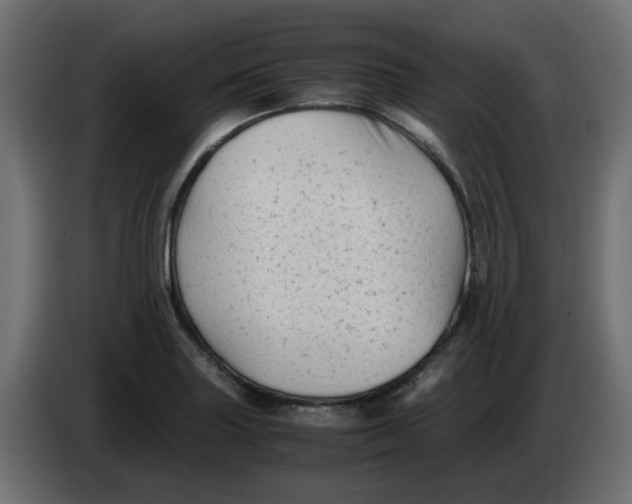 X0000083561227200703021709