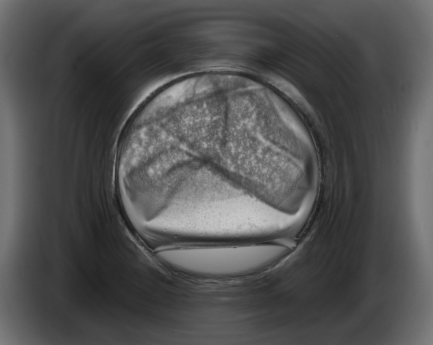 X0000083561228200703021709