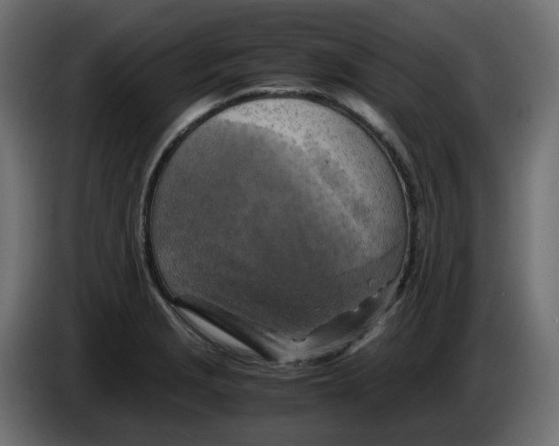 X0000083561229200703021709