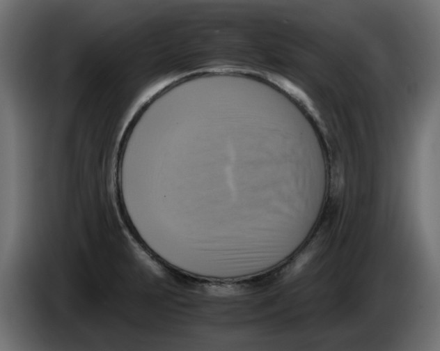 X0000083561231200703021709