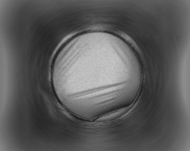 X0000083561232200703021709