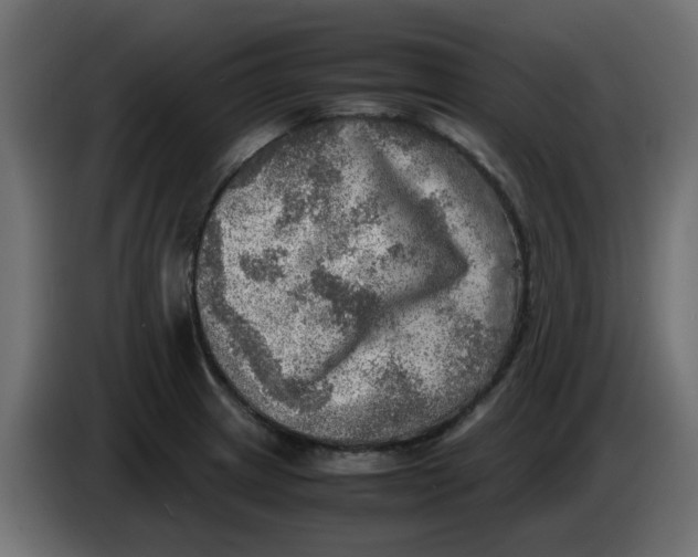 X0000083561233200703021709