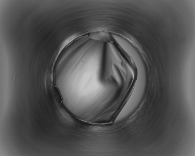 X0000083561234200703021709