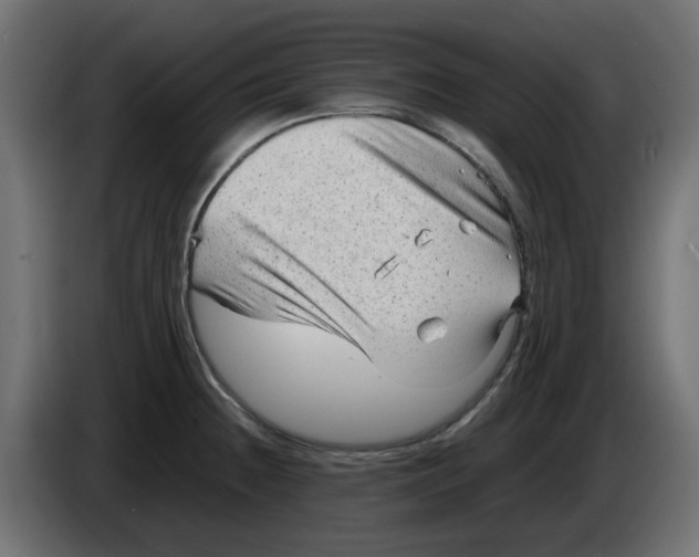 X0000083561236200703021709