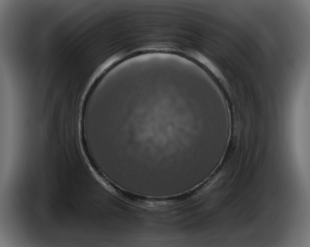 X0000083561237200703021709