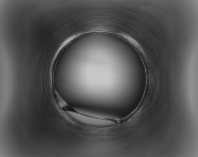 X0000083561238200703021710