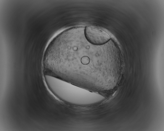 X0000083561239200703021710