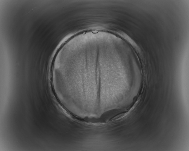 X0000083561240200703021710