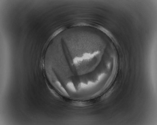 X0000083561241200703021710