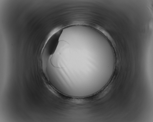 X0000083561242200703021710