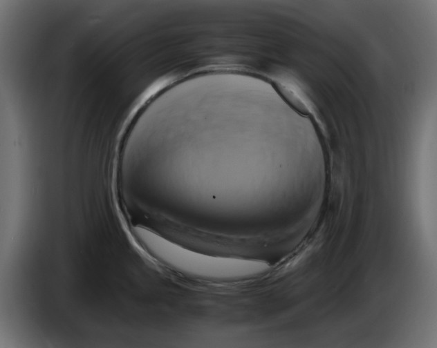 X0000083561245200703021710