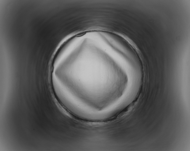 X0000083561246200703021710