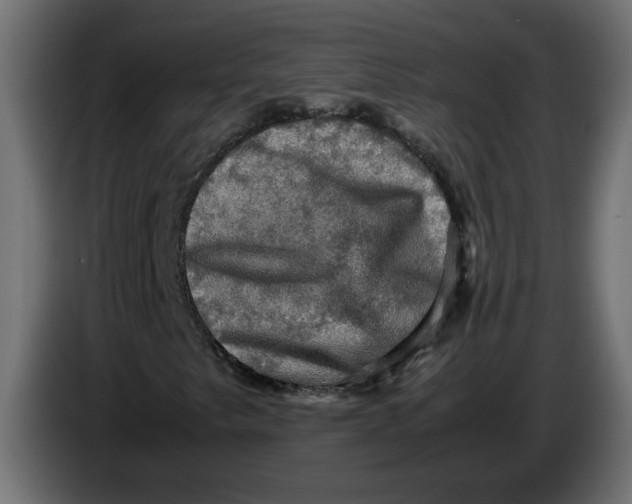 X0000083561249200703021709