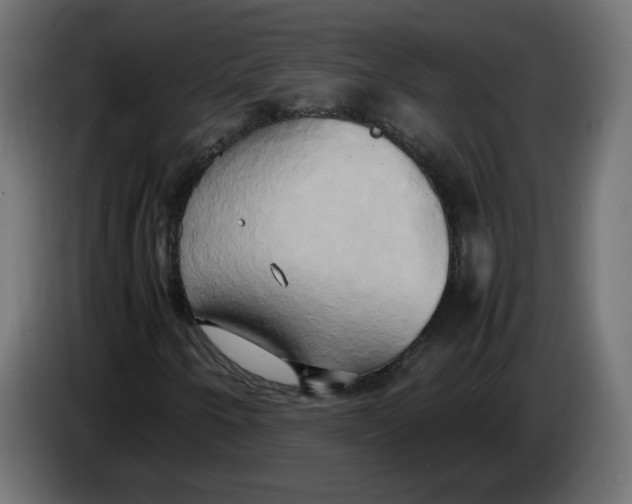 X0000083561250200703021709