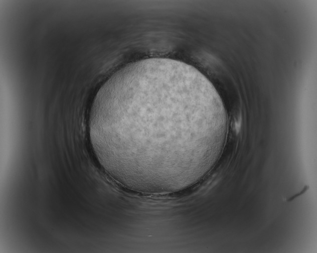 X0000083561252200703021709