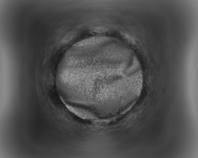 X0000083561253200703021709