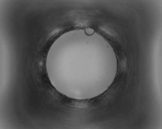 X0000083561254200703021709