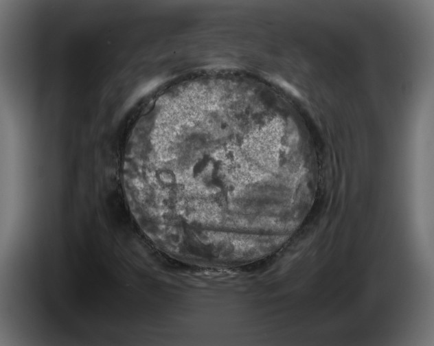 X0000083561255200703021709