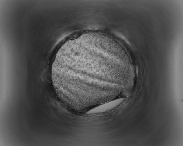 X0000083561256200703021709