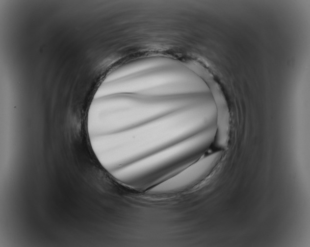 X0000083561257200703021709