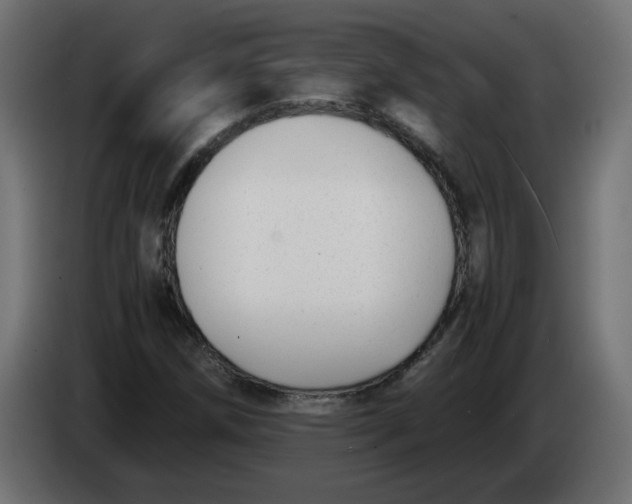 X0000083561258200703021709