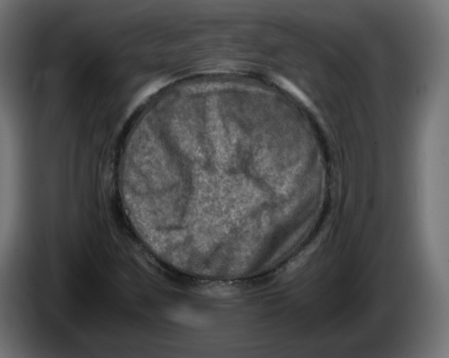 X0000083561259200703021709