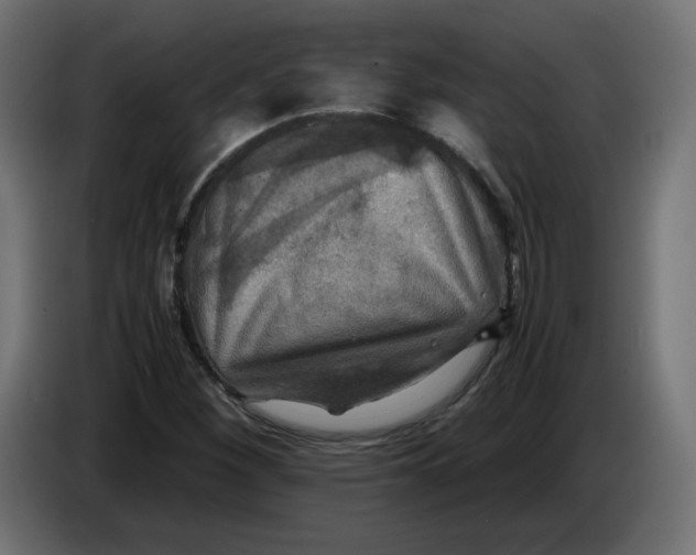 X0000083561260200703021709