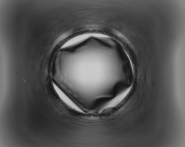 X0000083561261200703021709